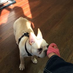 Family Pet Care - In the exam room waiting for the vet. (Less than 3 min wait).