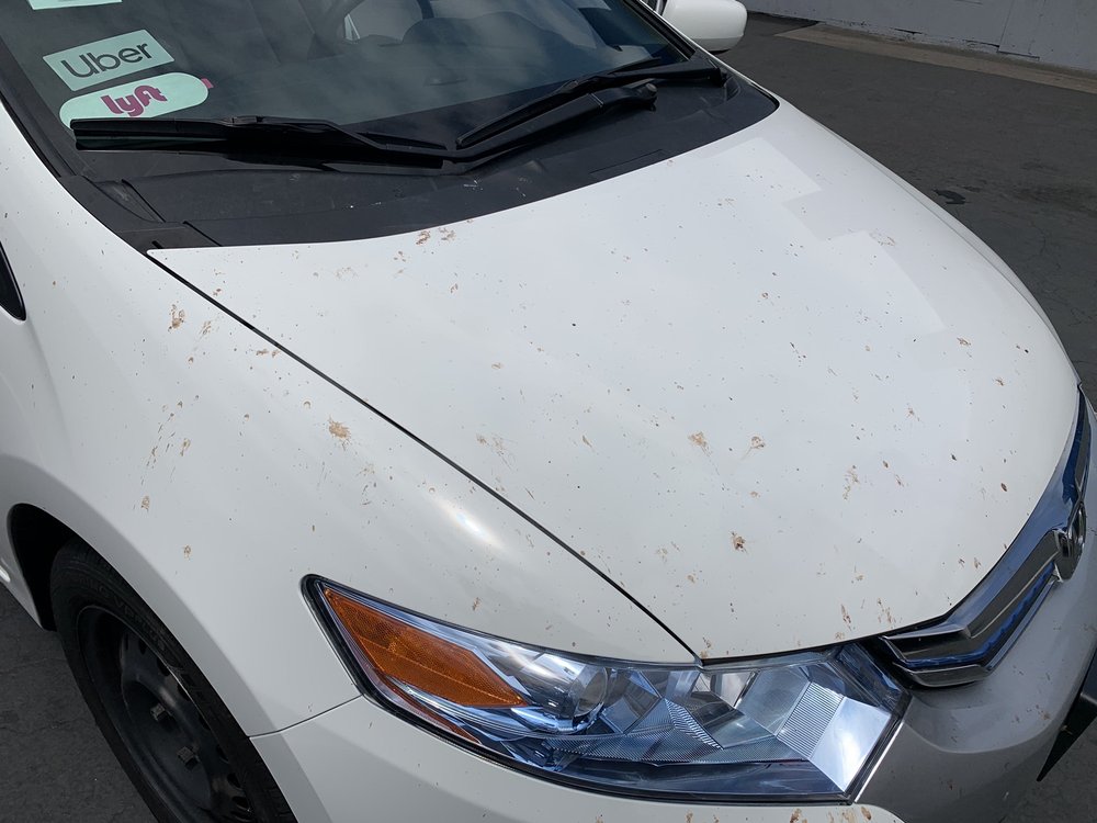 Genie Car Wash & LubeW Point Loma, San Diego Roadtrippers