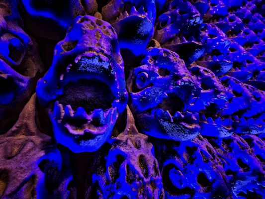 Blu Oyster Sushi & Seafood by null