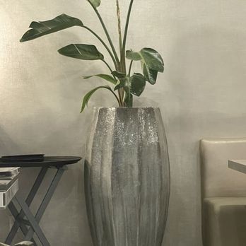 Naori - Decor - love this plant pot - Japanese Near Me - Sunrise, Florida Naori - Decor - love this plant pot - Japanese Near Me - Sunrise, Florida