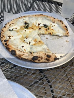 FIAMMA pizza company by null