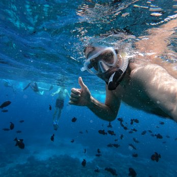 Calypso Charters - Awesome! - Snorkeling Near Me - Wailuku, Hawaii Calypso Charters - Awesome! - Snorkeling Near Me - Wailuku, Hawaii
