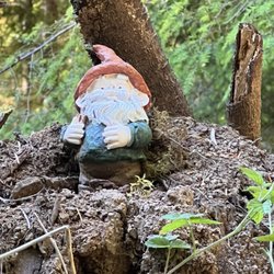 Dawleys Sol Duc River Campground - We have gnome land here at Dawley's Campground.