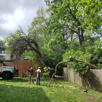 Florer Family Tree Service - Tree Services Near Me - Butler, Kentucky Florer Family Tree Service - Tree Services Near Me - Butler, Kentucky