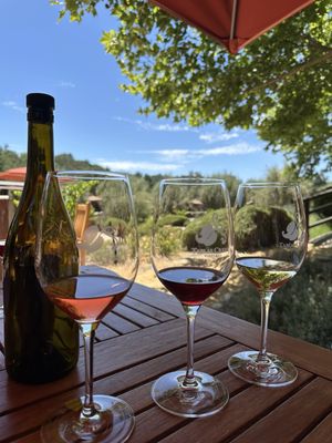 Tablas Creek Vineyard by null