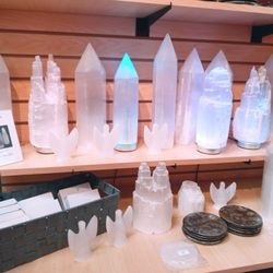 user provided Prehistoric Florida photo