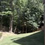 The Lawn Squad