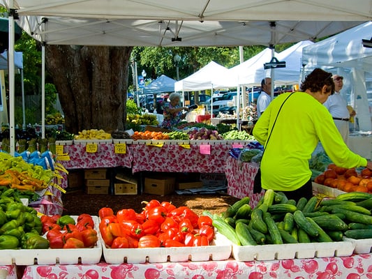 Gulfport Tuesday Fresh Market by null