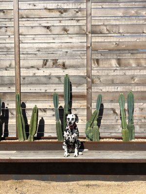 Goodnight Loving Vodka by null