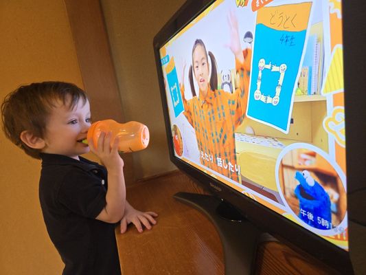 Nishiyama Onsen Keiunkan by null