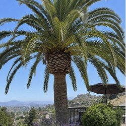 Arbor Task Tree Service