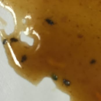 Sunny Asian Cuisine - Bugs in the Beef with Broccoli - Chinese Near Me - Warminster, Pennsylvania Sunny Asian Cuisine - Bugs in the Beef with Broccoli - Chinese Near Me - Warminster, Pennsylvania
