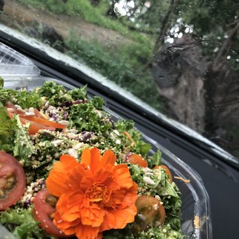Aa Roots Maui - Vegan Near Me - Lahaina, Hawaii