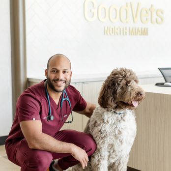 GoodVets North Miami - Veterinarians Near Me - North Miami, Florida GoodVets North Miami - Veterinarians Near Me - North Miami, Florida
