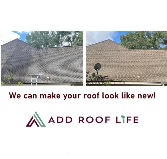 Slide of Add Roof Life