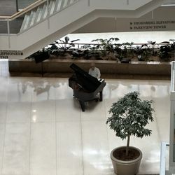 Center For Advanced Medicine - Lobby piano with a person playing classical music