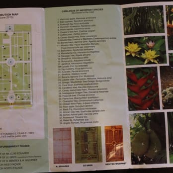 Jardin Botanico - brochure - Parks Near Me - Puerto de la Cruz, TF