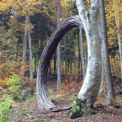 Arte Sella - Il cerchio della vita