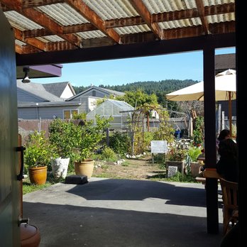Cafe Phoenix - Entrance to garden. - Cafes Near Me - Arcata, California Cafe Phoenix - Entrance to garden. - Cafes Near Me - Arcata, California