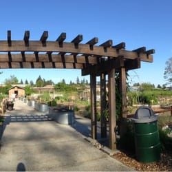 Blueberry Park