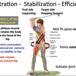 Physio Osteo Clinic - Golf - play safer