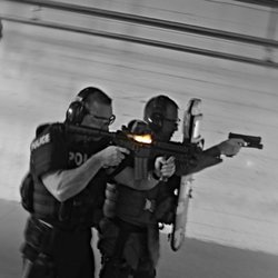 Survival Response