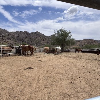 Ponderosa Stables - Horseback Riding Near Me - Phoenix, Arizona Ponderosa Stables - Horseback Riding Near Me - Phoenix, Arizona