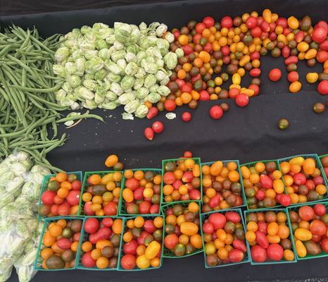 Melrose Place Farmers Market by null