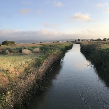 Radke Martinez Regional Shoreline - Alhambra Creek - Parks Near Me - Martinez, California Radke Martinez Regional Shoreline - Alhambra Creek - Parks Near Me - Martinez, California