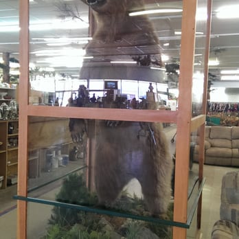Bear Market Consignment Sales - Thrift Stores Near Me - Camdenton, Missouri Bear Market Consignment Sales - Thrift Stores Near Me - Camdenton, Missouri