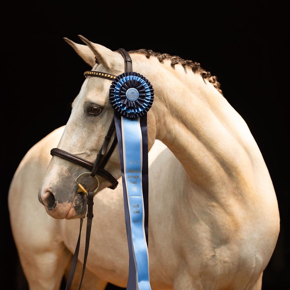 Peace of Mind Equestrian Academy Logo