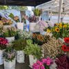 Saratoga Farmers' Market gift card