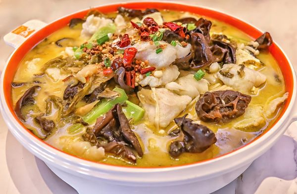 Fish With You 鱼你在一起 by null