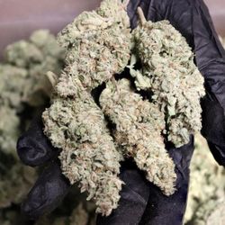 Lawrence kushshop - Canabis for all discount for bulk order best deal Hmu