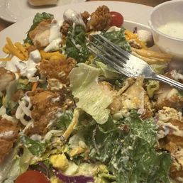 Chicken Critter Salad Chicken Critter Salad
