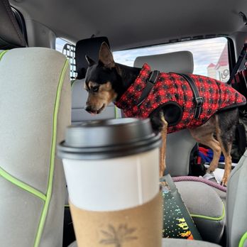 Beach Bum Coffee - Peppermint coffee - Coffee & Tea Near Me - Virginia Beach, Virginia