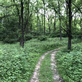 Sharp Park Campground - Campgrounds Near Me - Middleville, Michigan