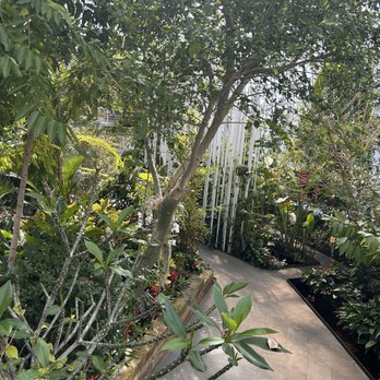 Myriad Botanical Gardens - Botanical Gardens Near Me - Oklahoma City, Oklahoma