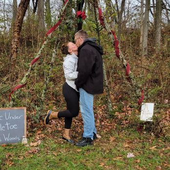 Moose Apple Christmas Tree Farm - Kiss under mistletoe - Christmas Trees Near Me - Berryville, Virginia Moose Apple Christmas Tree Farm - Kiss under mistletoe - Christmas Trees Near Me - Berryville, Virginia
