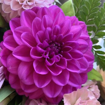 Sweet Blissful Blooms - Flower bouquet - Florists Near Me - Fall City, Washington