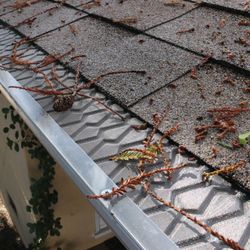 Oakridge Gutter Protection
