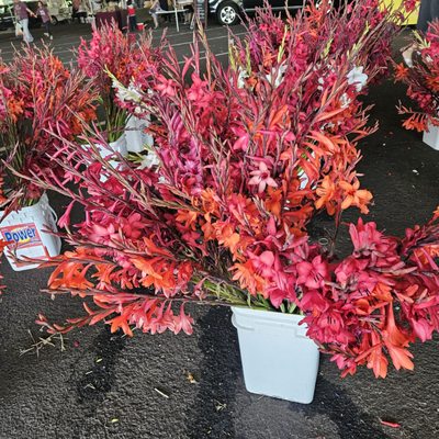 Sacramento’s Sunday Certified Farmers Market by null
