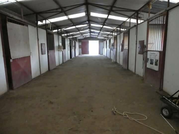 The Triple S Ranch - equestrian in Fountain, CO