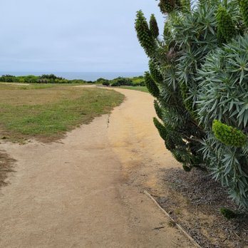 Seascape Park - Parks Near Me - Aptos, California Seascape Park - Parks Near Me - Aptos, California