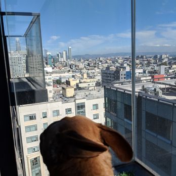 NEMA - On my balcony at Nema - Apartments Near Me - San Francisco, California NEMA - On my balcony at Nema - Apartments Near Me - San Francisco, California