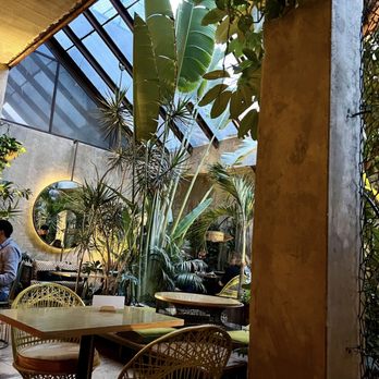 Plantasia Cafe - Pan Asian Near Me - Ciudad de Mexico, DIF Plantasia Cafe - Pan Asian Near Me - Ciudad de Mexico, DIF