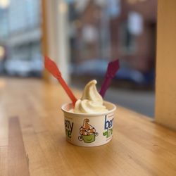 BerryLine - Micro cup of egg nog froyo