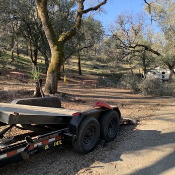 Precision Tree Care - After the second day. - Tree Services Near Me