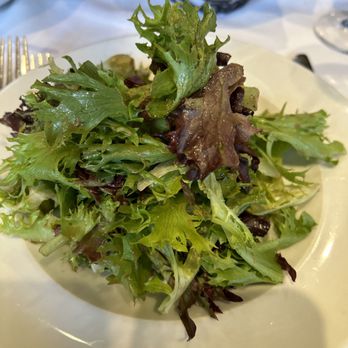 Ristorante Lucca - a plate of salad - Italian Near Me - Montreal, Quebec Ristorante Lucca - a plate of salad - Italian Near Me - Montreal, Quebec