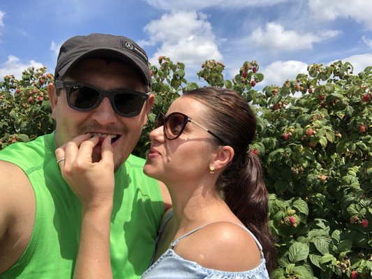 Biringer Farms by null